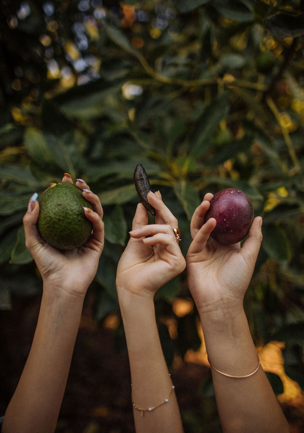 A Taste Of Shanley Farms
