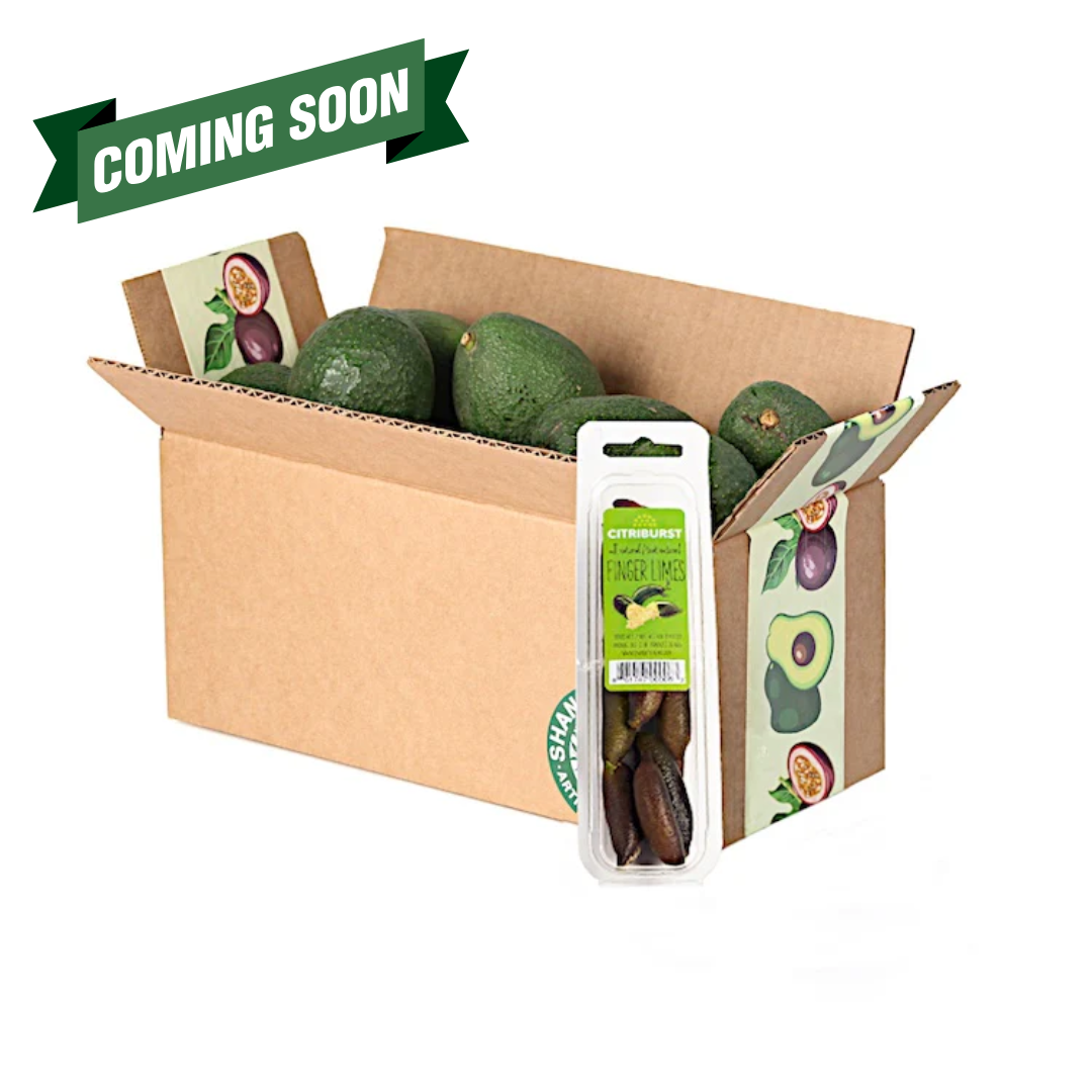Morro Bay Avocados + Finger Lime Box