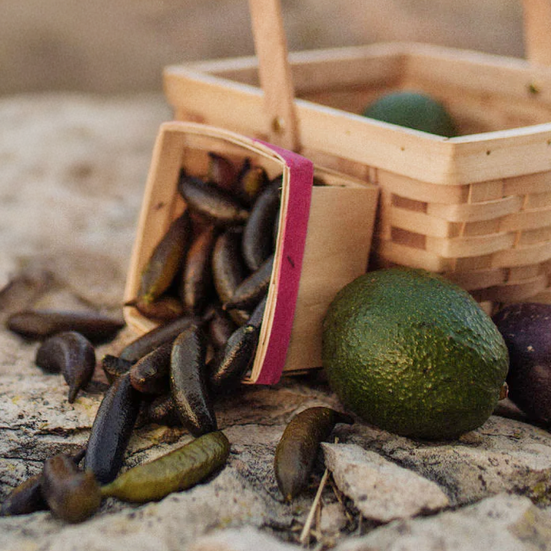 Morro Bay Avocados + Finger Lime Box